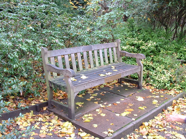 The World's First Internet Bench - a Suffolk idea ahead of its time ...