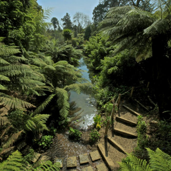 The lost gardens of Heligan: a Cornish treasure