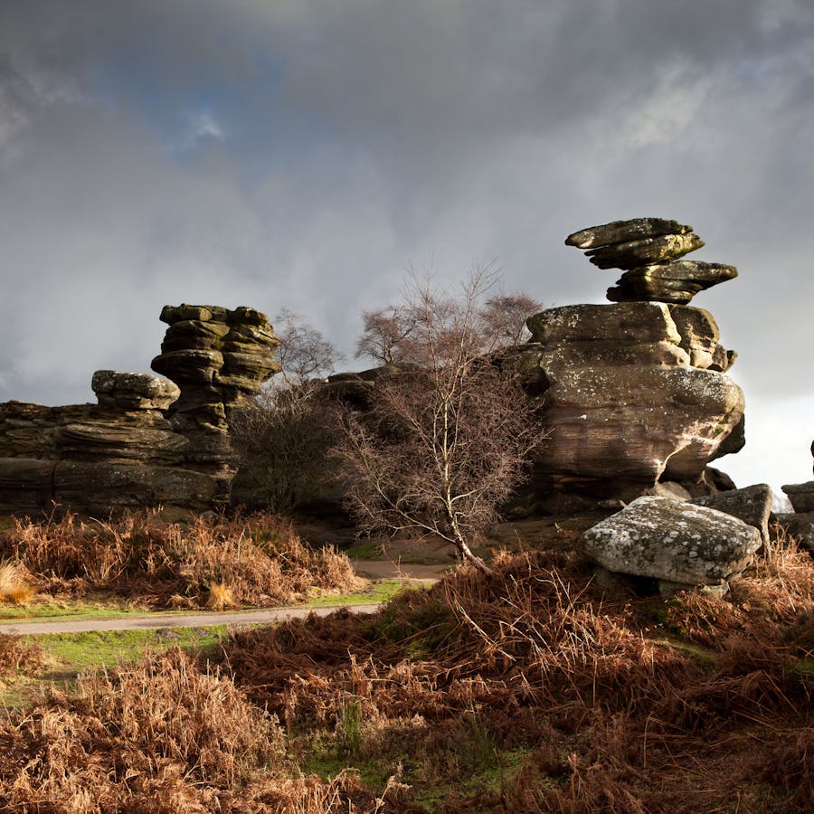 Brimham Rocks - Bizarre rock formations in Yorkshire - Landscape - Bite ...