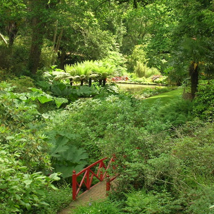 Abbotsbury Subtropical Gardens