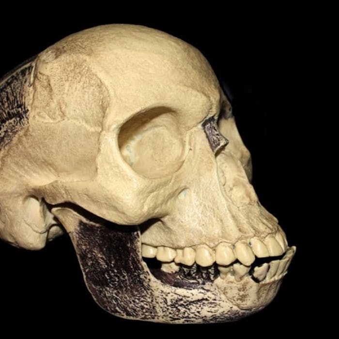 Piltdown Man - a very British hoax