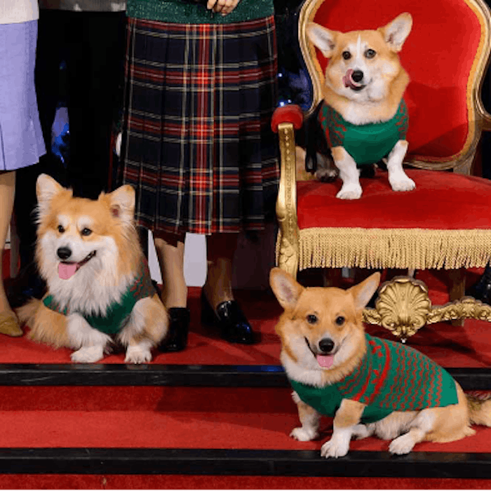 Queen Elizabeth II and her Corgis