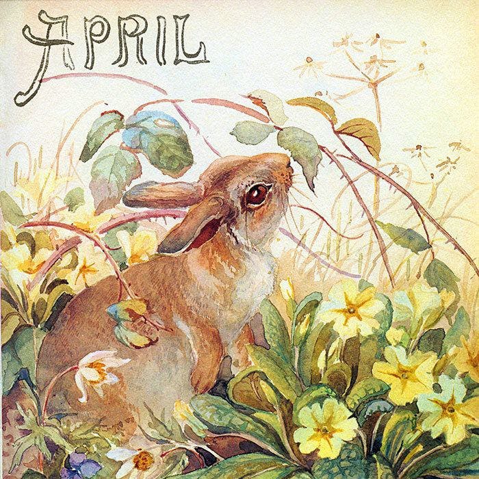 Edith Blackwell Holden - Country Diary of an Edwardian Lady