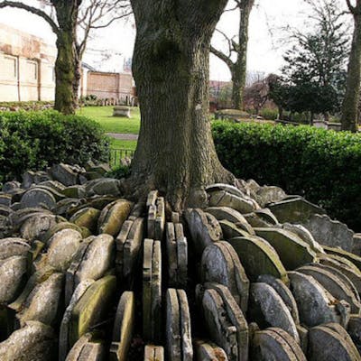 The Hardy Tree - a grave first work by the Victorian novelist