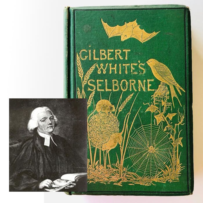 Gilbert White, the first modern naturalist