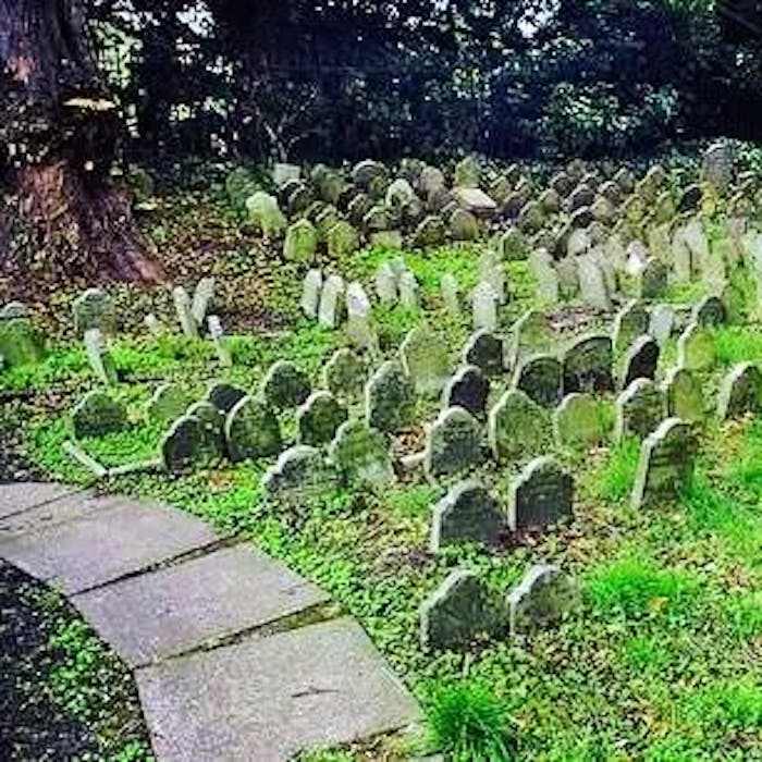 Hyde Park Pet Cemetery - a Victorian curiosity