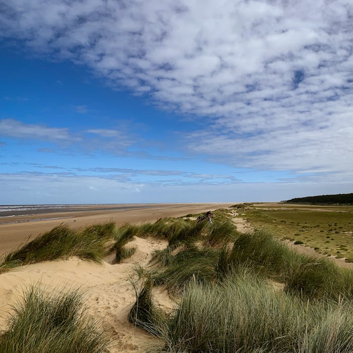 Holkham Sand Dunes - delicate delight on the Norfolk coast