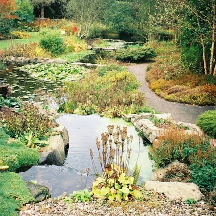 St Andrews Botanic Garden