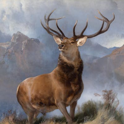 The Monarch of the Glen - a classic image of Scotland