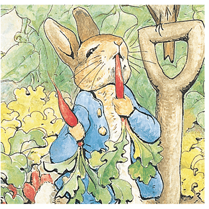 Peter - Beatrix Potter's famous rabbit