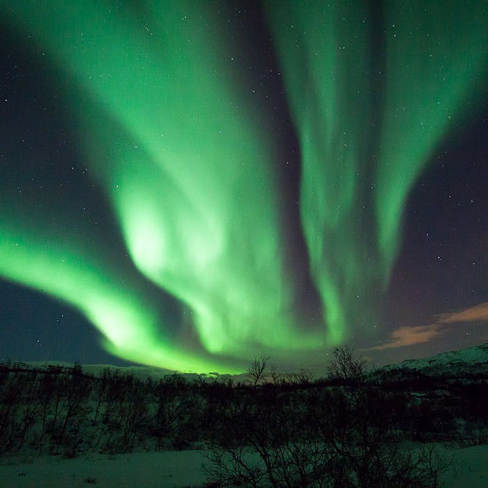 The Northern Lights - you don't need to go abroad to see them!