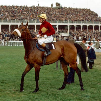 Red Rum - a lame horse who became an equine superstar