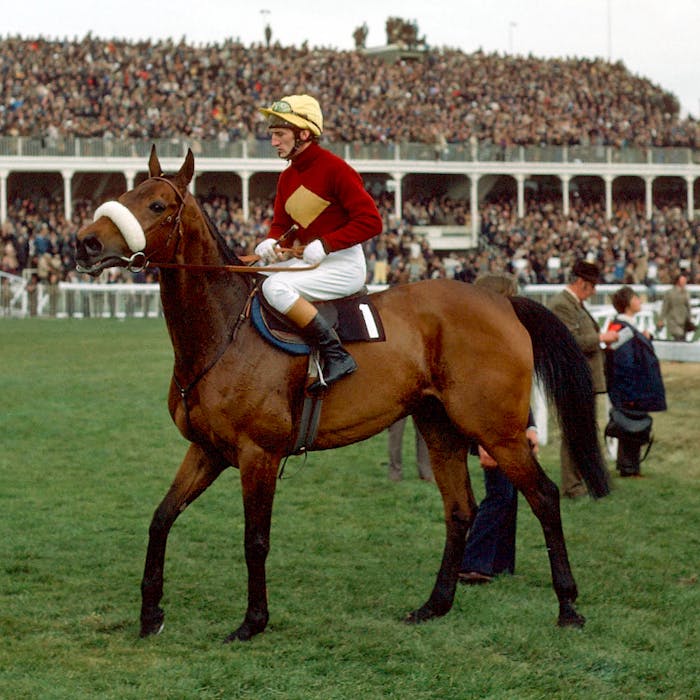 Red Rum - a lame horse who became an equine superstar