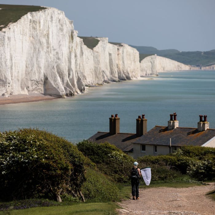 The Seven Sisters - Sussex stars of a thousand postcards