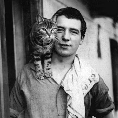 Mrs Chippy - the faithful cat that sailed with Shackleton