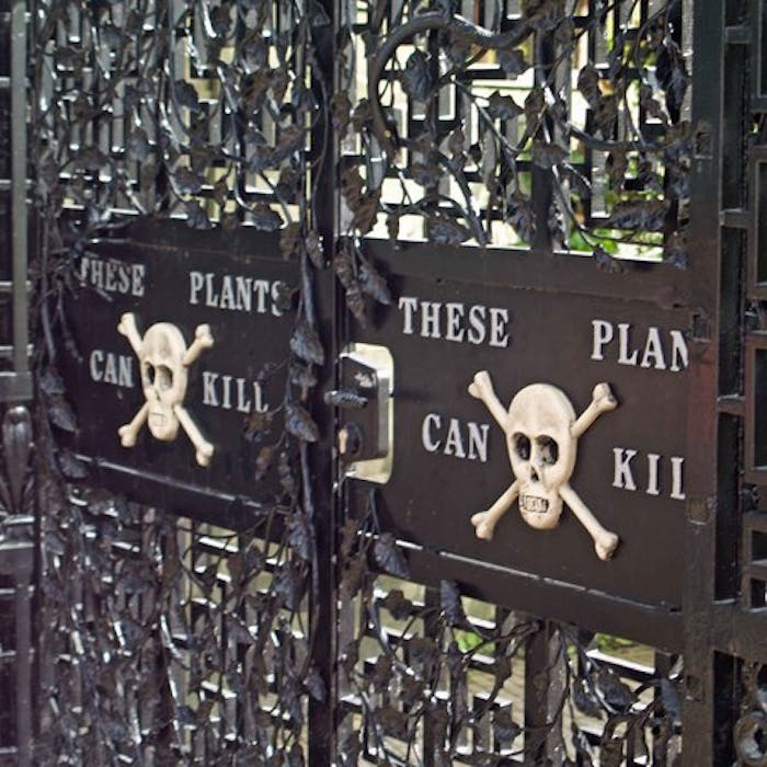 Alnwick's Poison Garden - enter at your peril