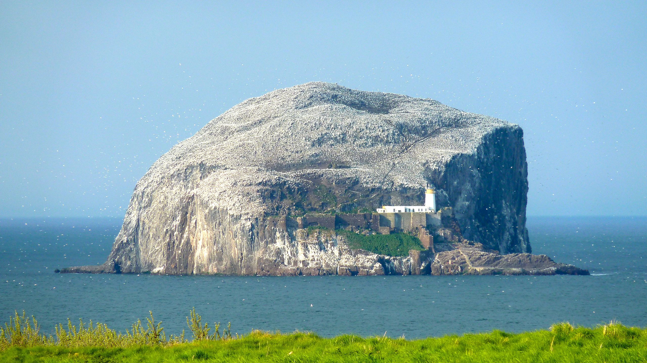 Bass Rock, southern Scotland - an avian fortress
