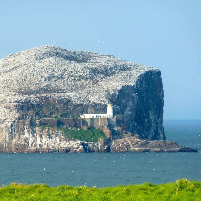 Bass Rock, southern Scotland - an avian fortress