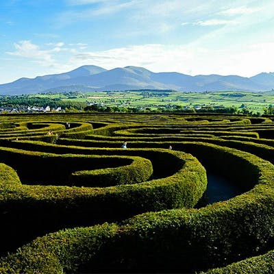 The Peace Maze in County Down