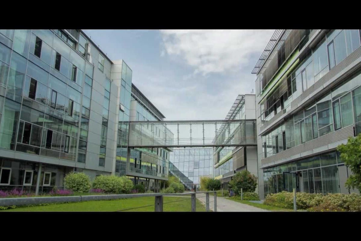 From India to the Land of Ideas