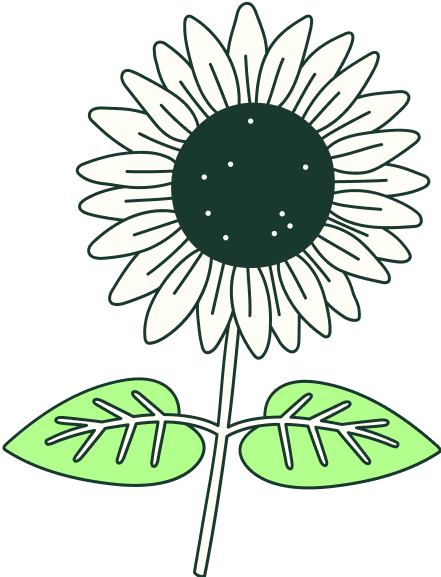 illustration tournesol Skarlett