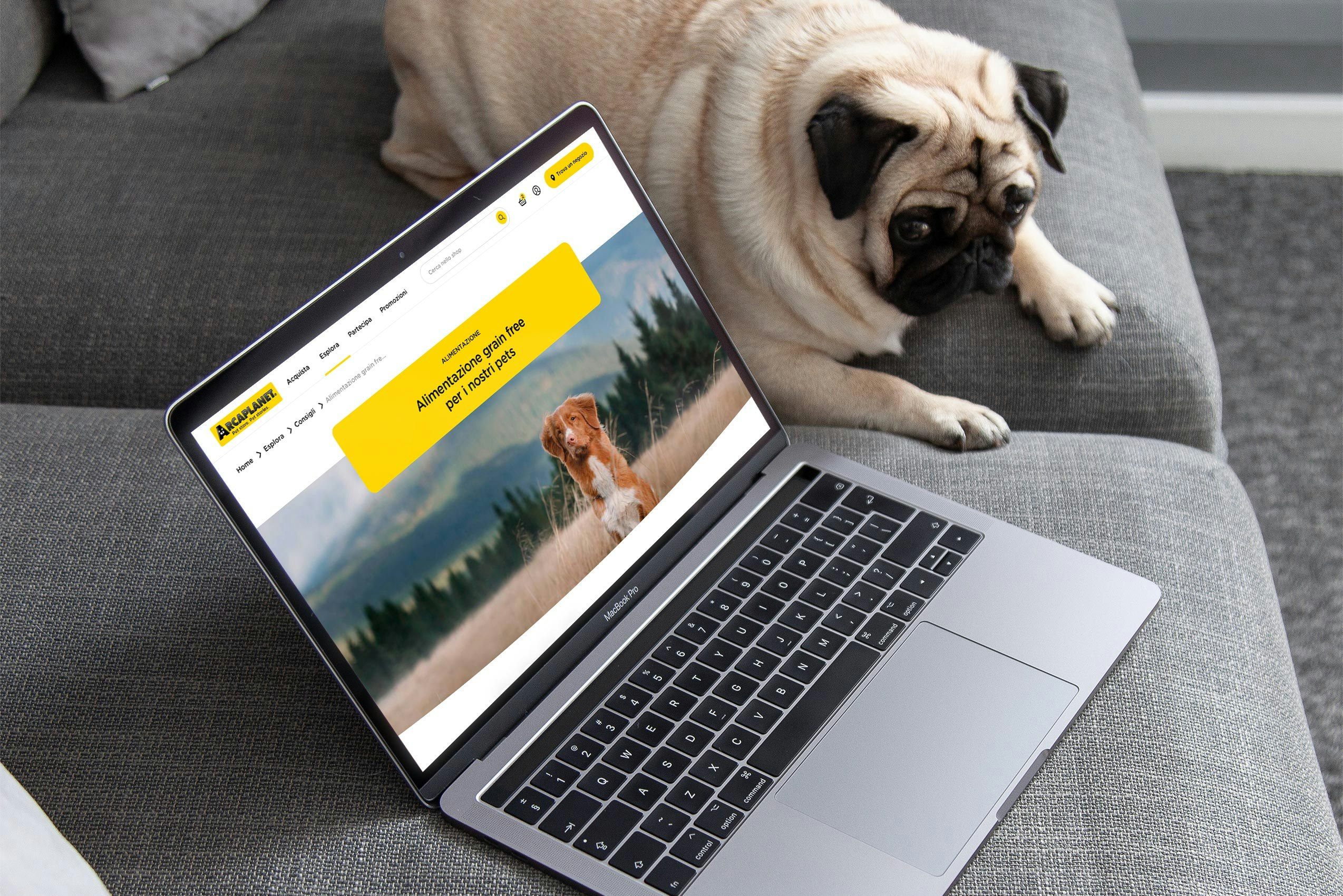 Interfaccia del blog Arcaplanet con consigli degli esperti mostrata su laptop