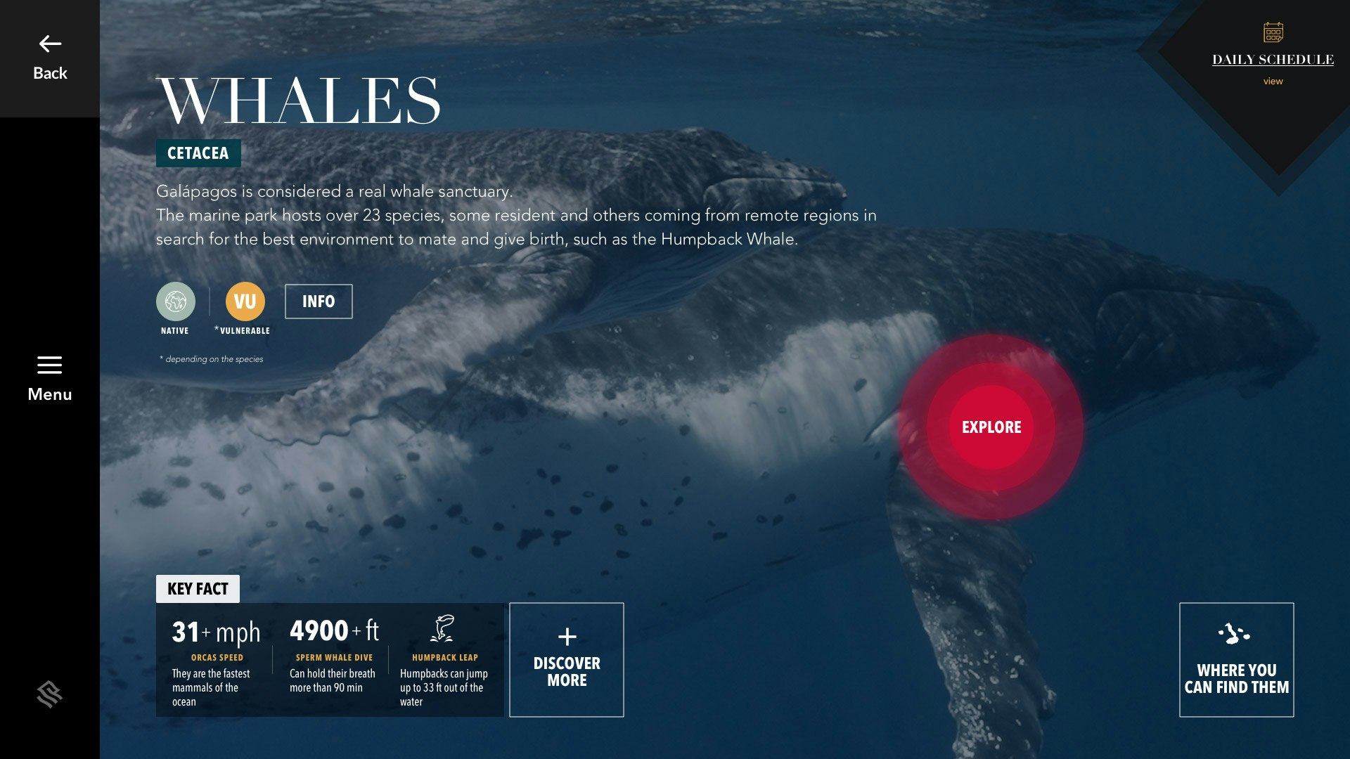 Sketchin - Case - Silversea Silver Origin Galapagos Islands - UI digital display interface