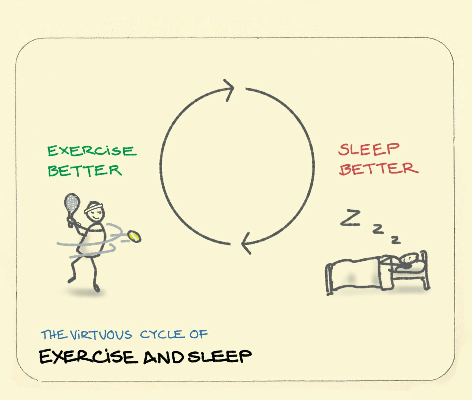 The virtuous cycle of exercise and sleep showing the loop of a tennis player exercising better, then sleeping better, then exercising better...