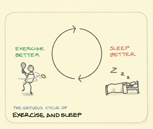 Virtuous Cycle