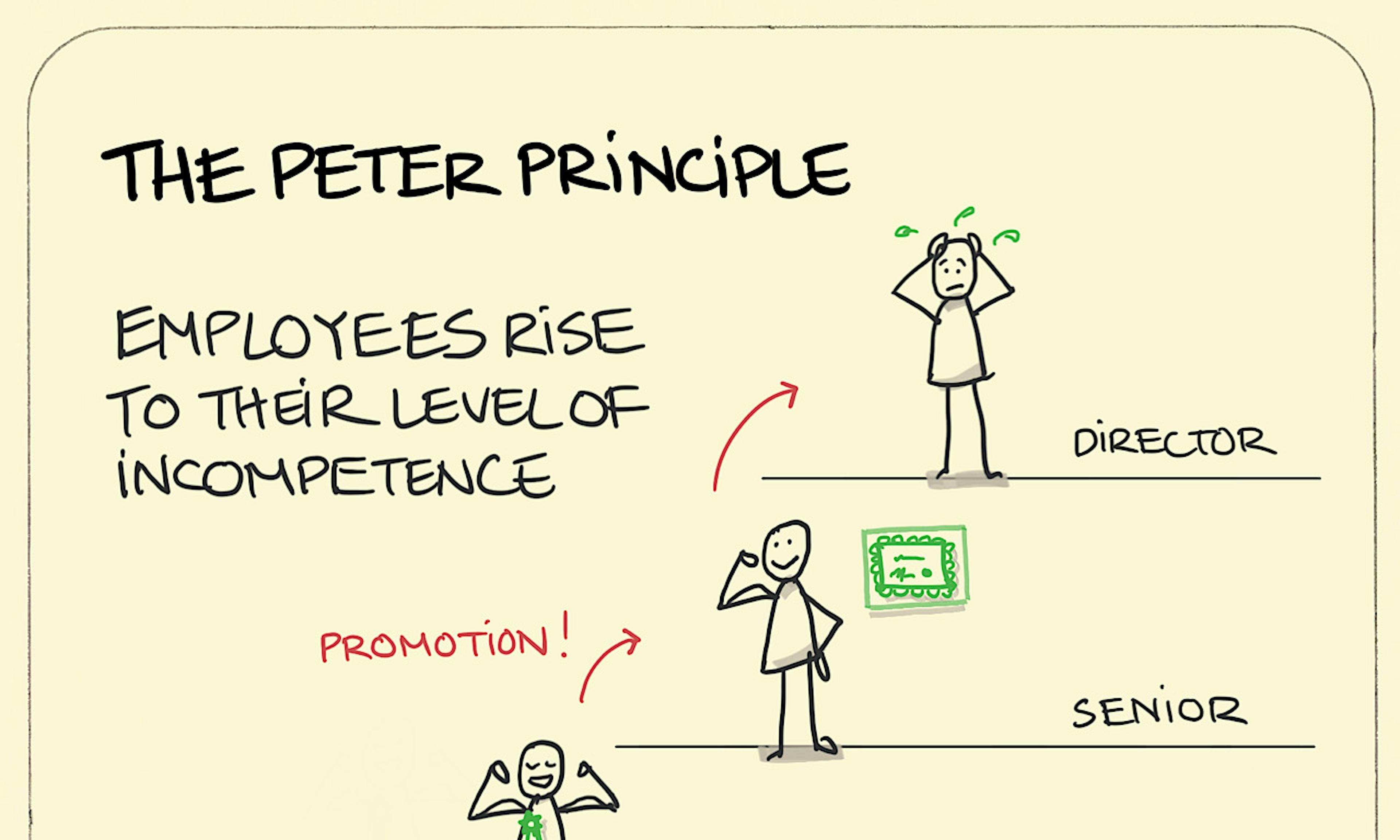 What is the Peter Principle explanation: a confident and competent junior worker gets promoted to a senior level. At the senior level, they appear very happy and excel such that they get a promotion to Director. As a Director, their competence has been exceeded and we see them in a state of stress and disarray. Oh dear.