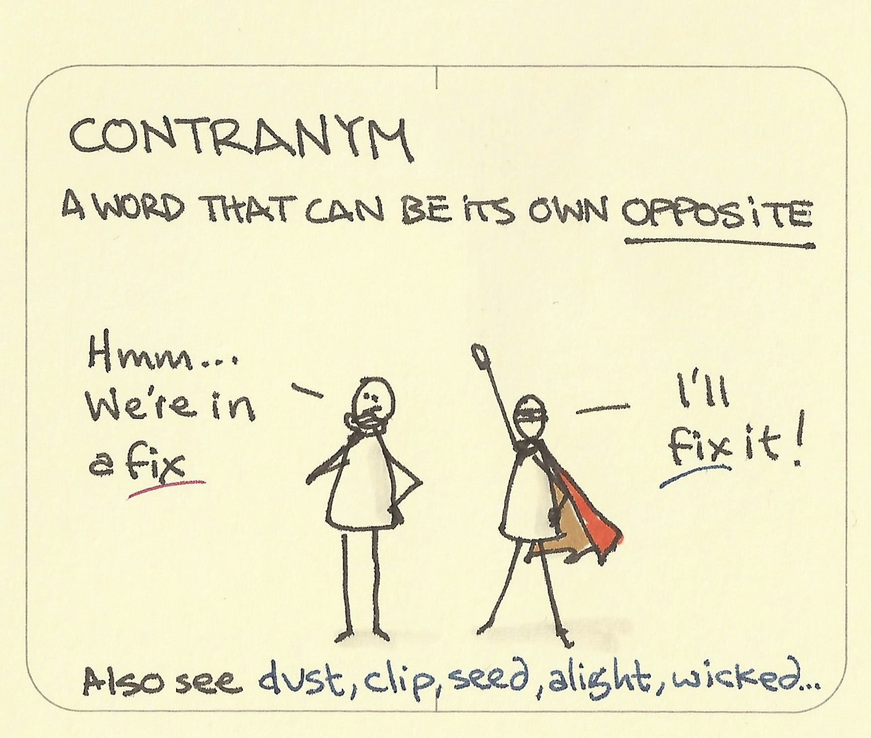 Contranym - Sketchplanations