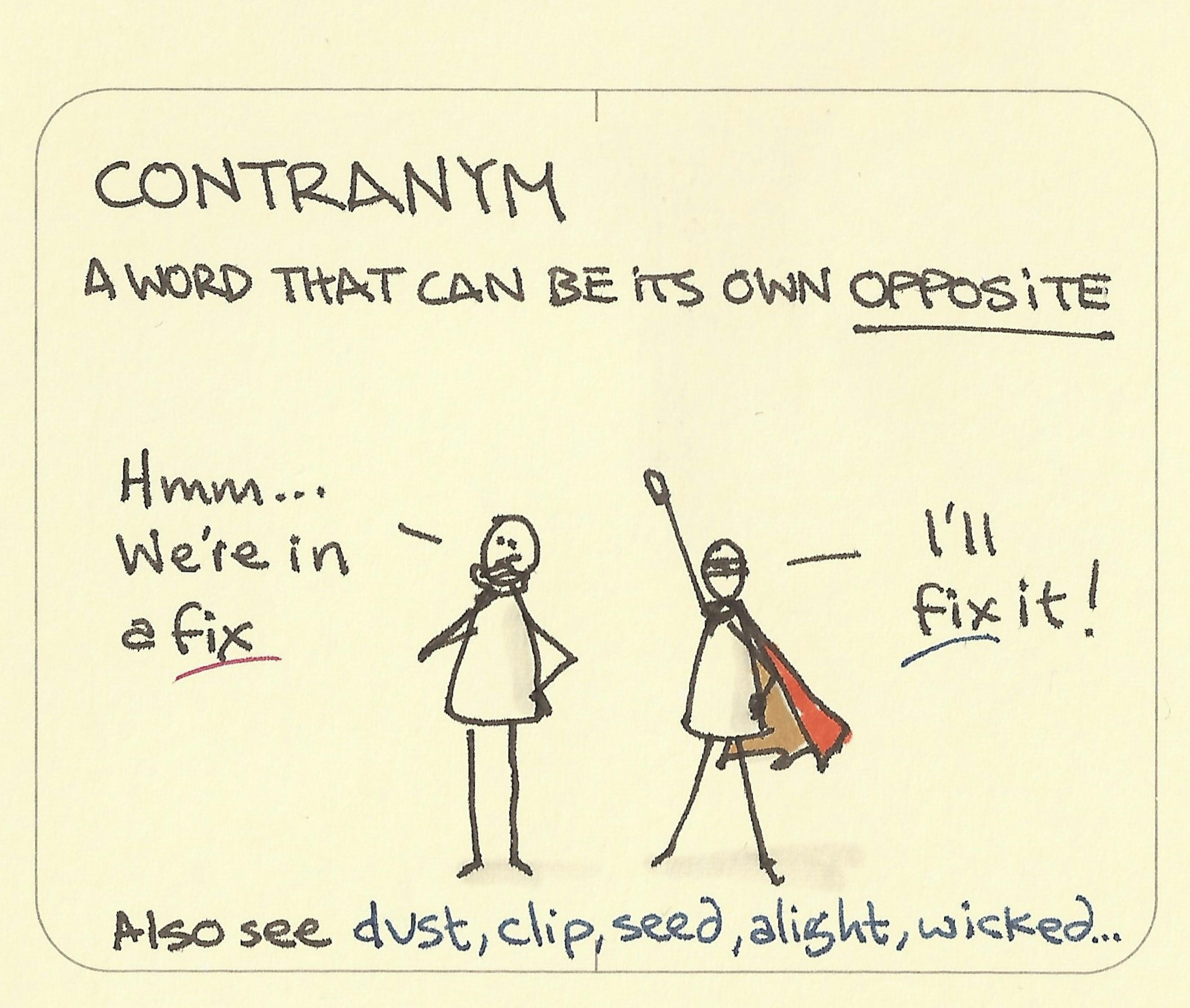 Contranym explained