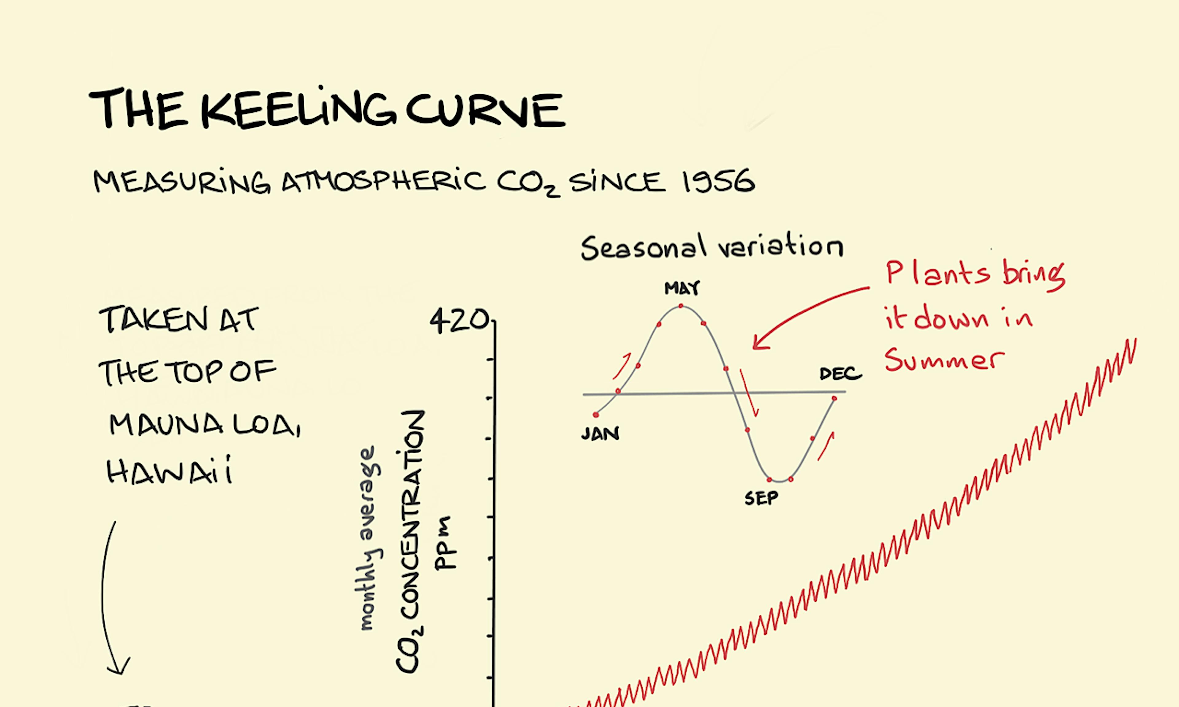 The Keeling Curve illustration: A line graph shows a tight zig-zag red line rising from around 310 parts per million (ppm) monthly average CO2 concentration in the air at the top of Mauna Loa volcano in Hawaii in 1960, up to 410 ppm in 2020. The smaller graph at the top shows the reason for the zig-zag nature of the line; the seasonal variation of CO2 concentration in the air due to more plants blooming and photosynthesising in Spring and Summer.