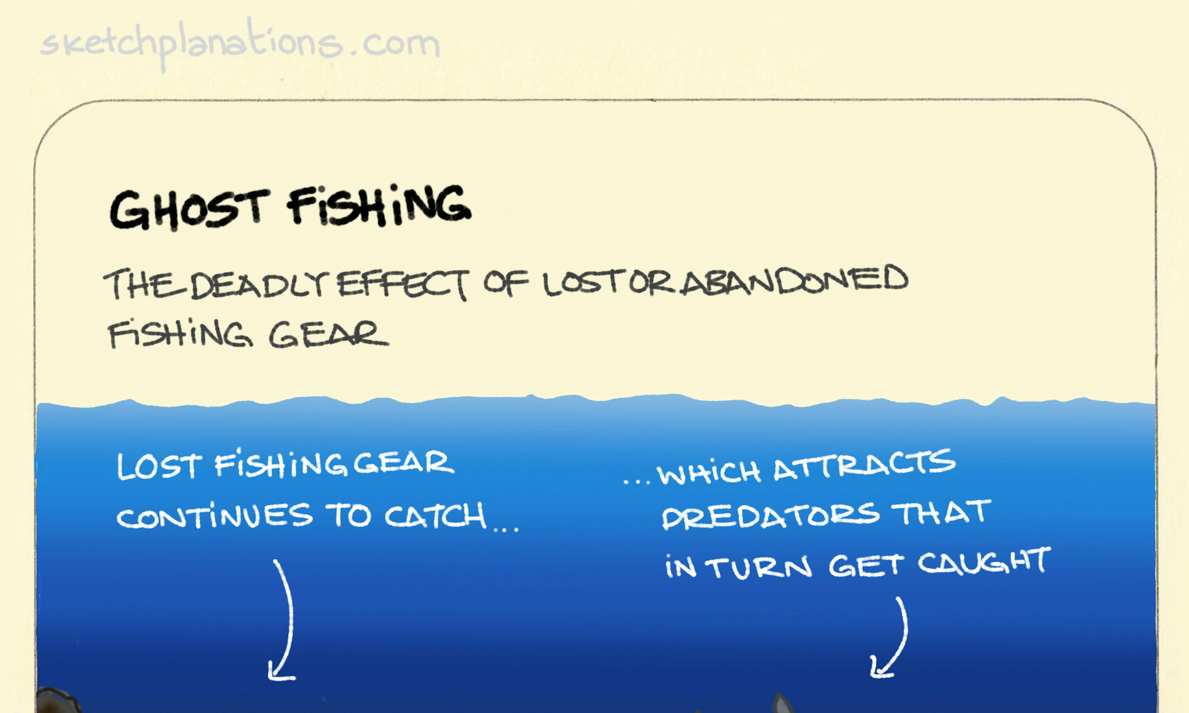 Ghost fishing: a shark investigating a fish caught in lost fishing gear underwater