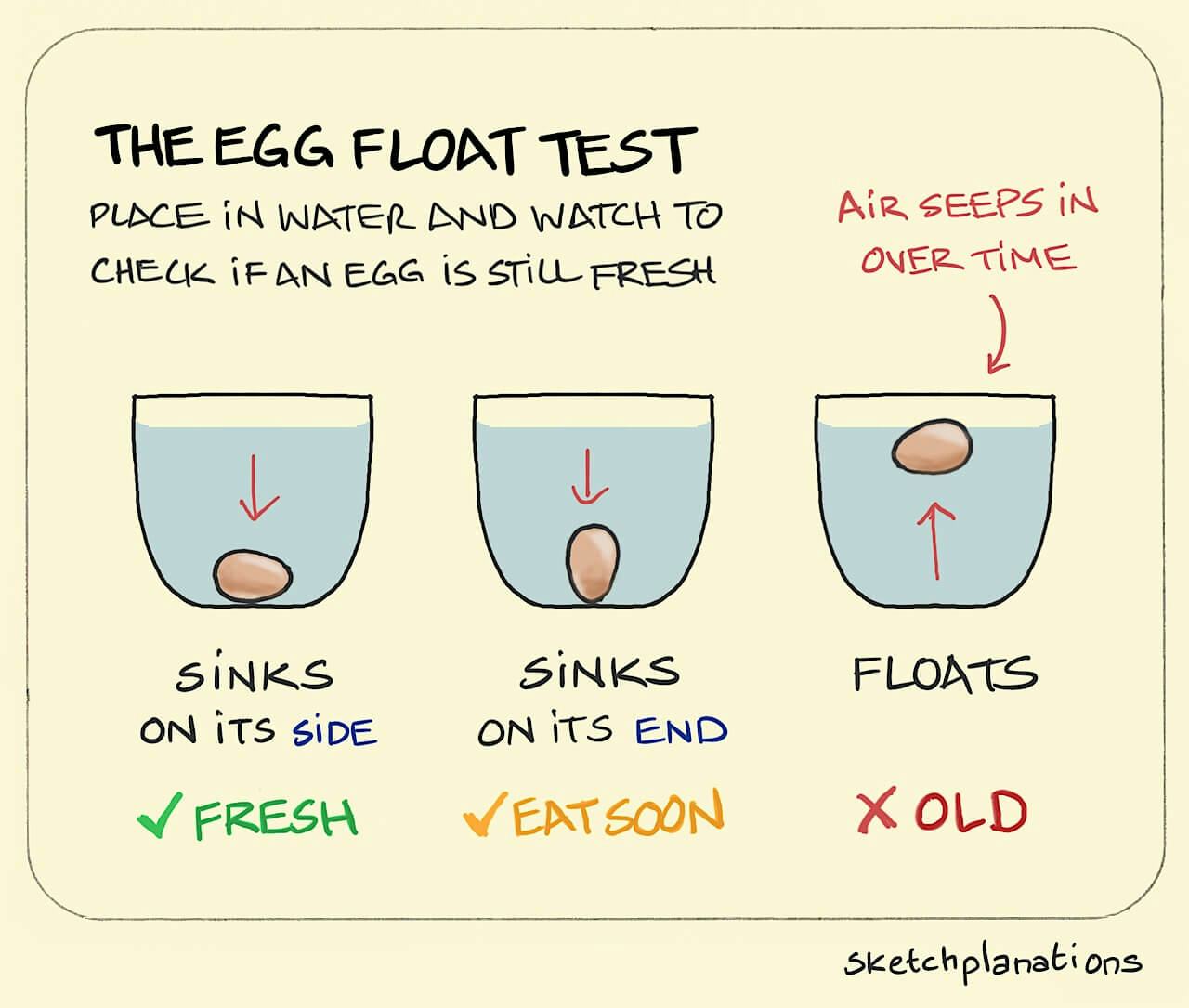 Egg test: how to use the egg float test to know if an egg has gone bad by checking it's floating behavior underwater