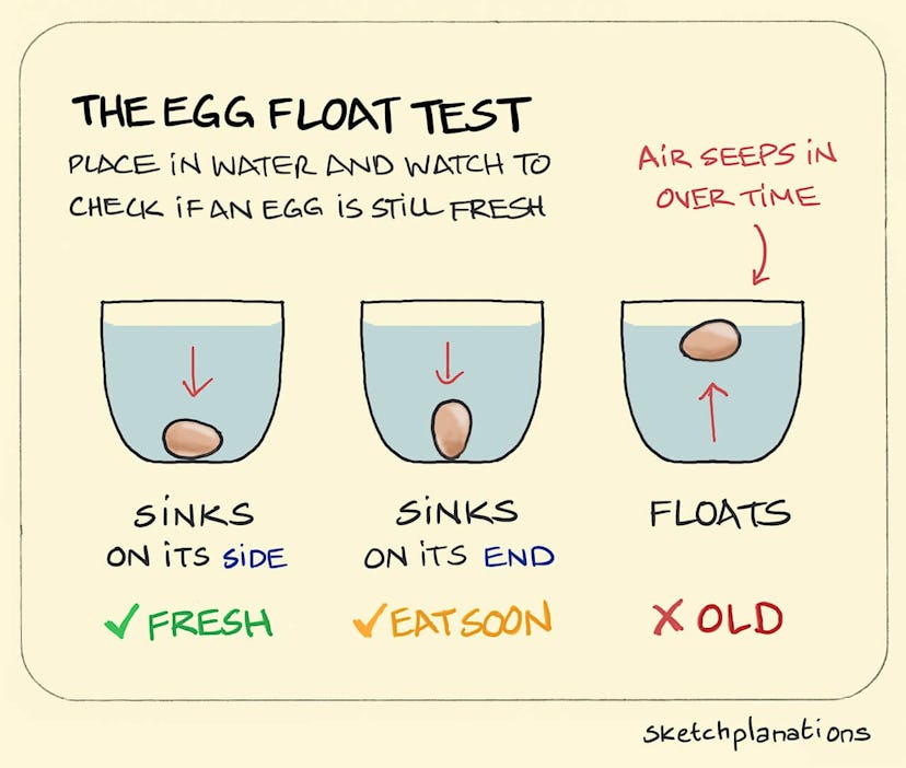 The Egg Float Test - Sketchplanations