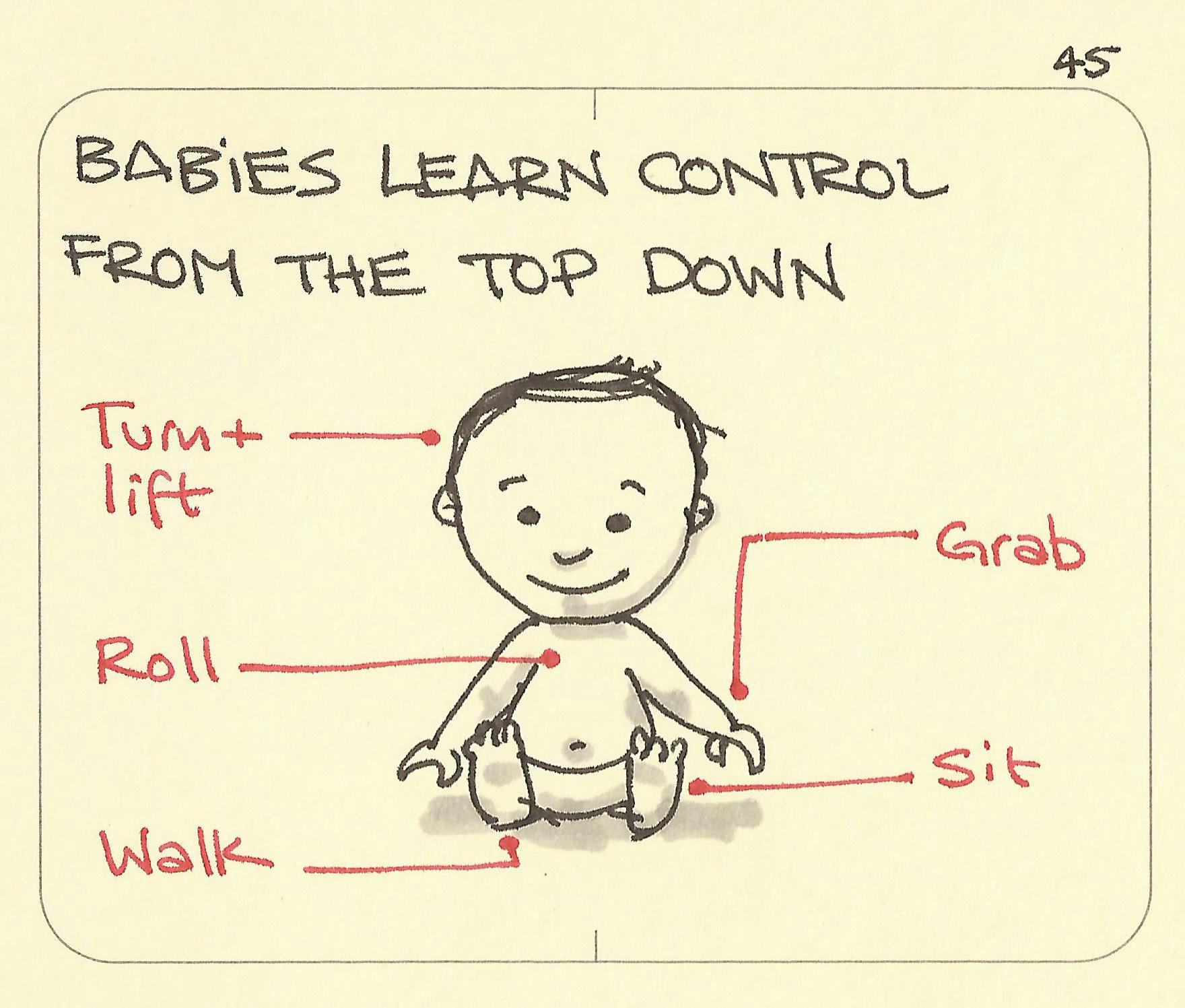 Babies learn control from the top down - Sketchplanations