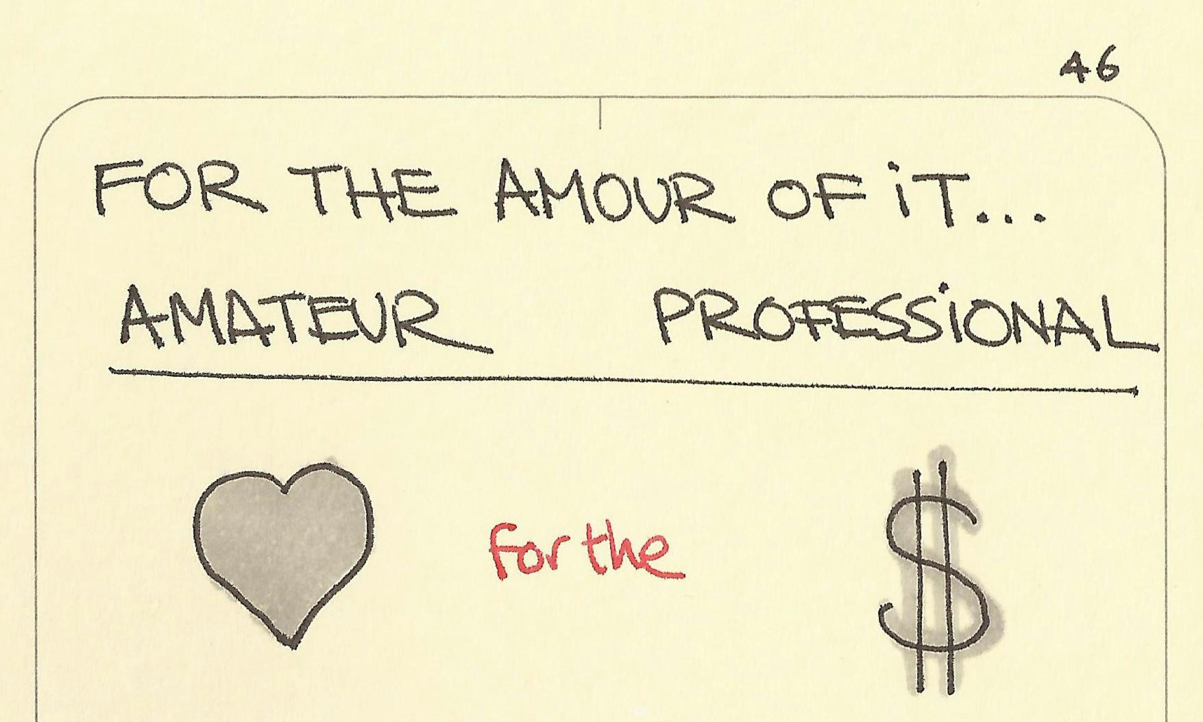 Amateur vs professional meaning