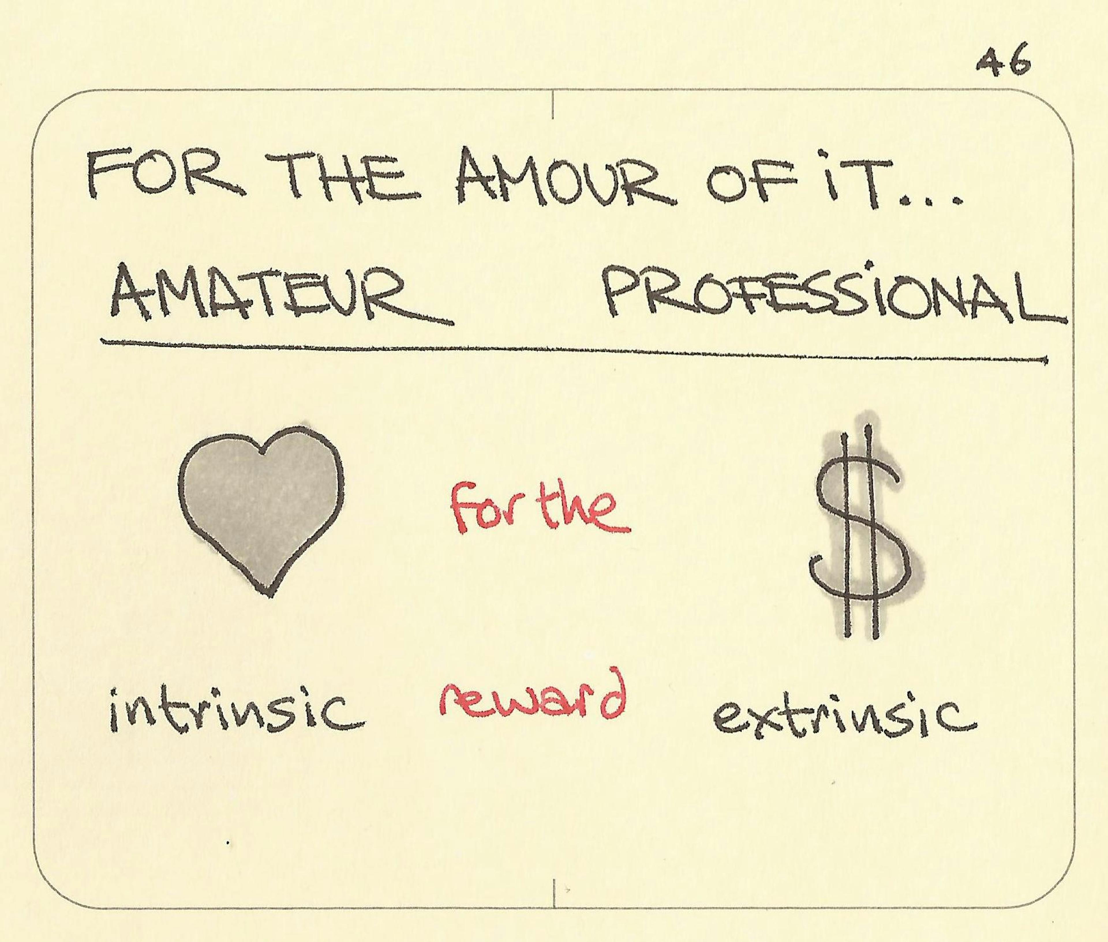 Amateur vs professional meaning