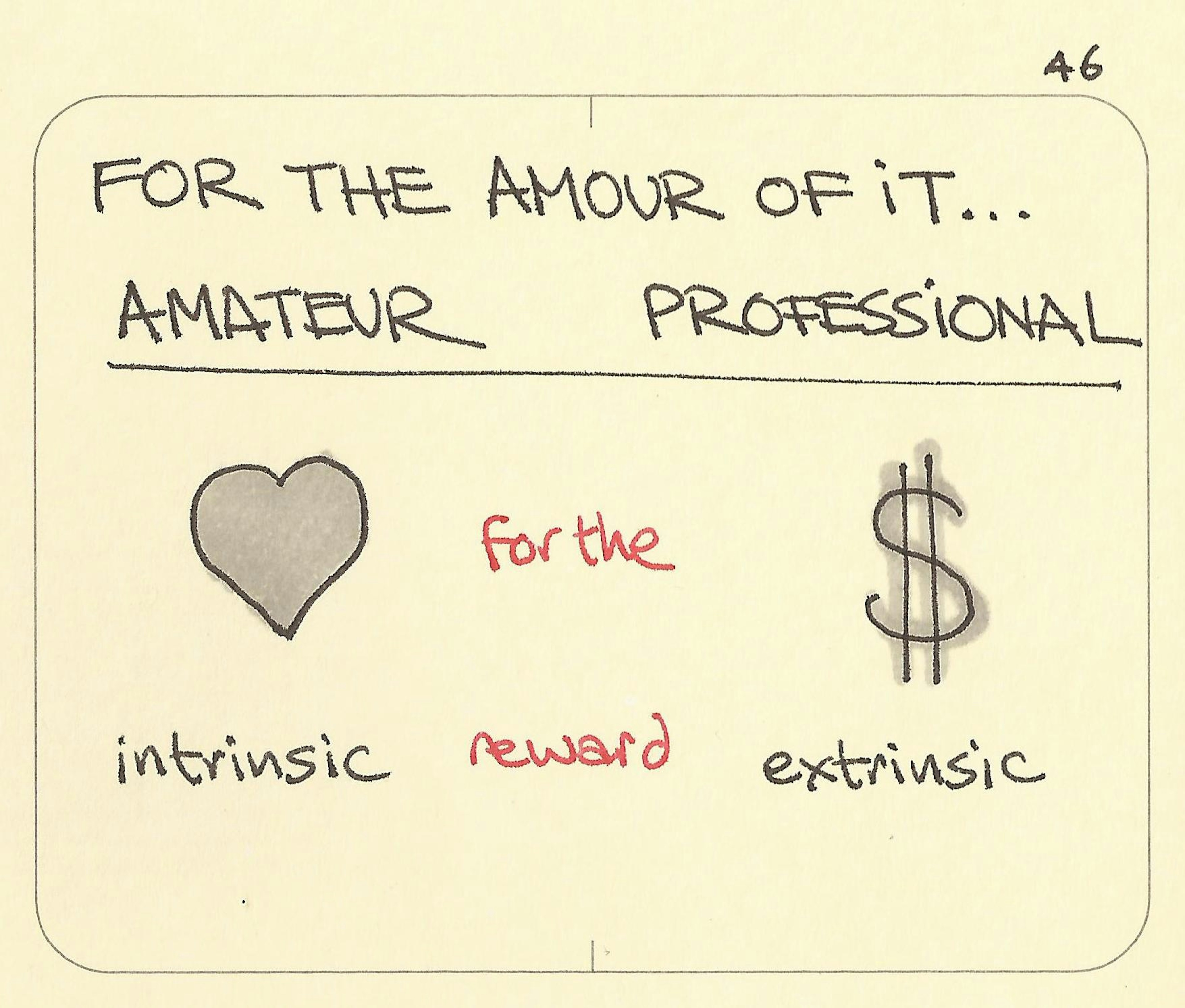 Amateur vs professional meaning