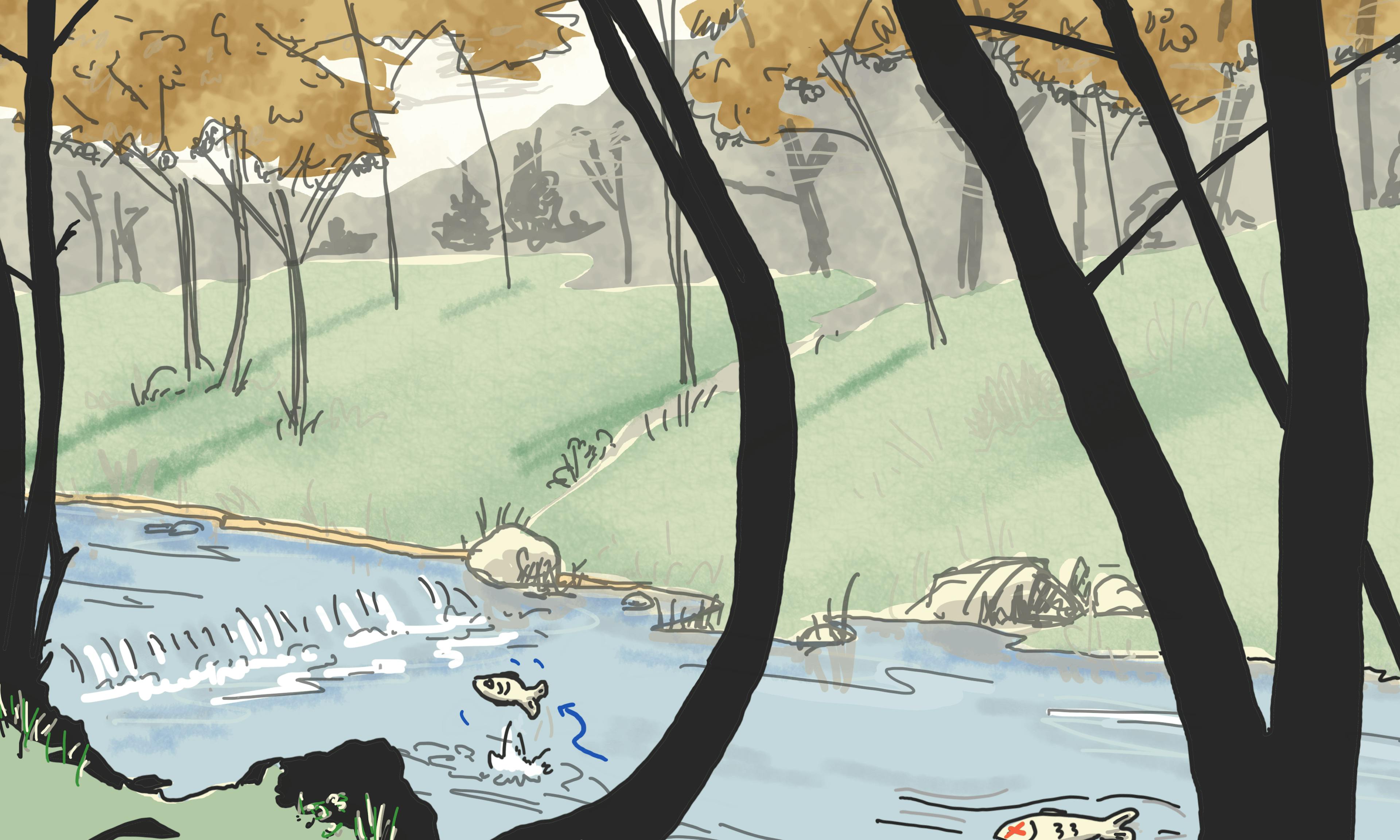 Only dead fish go with the flow quote. Two fish in a stream. One is dead and floating with the current. The other is swimming against it and jumping out of the water.