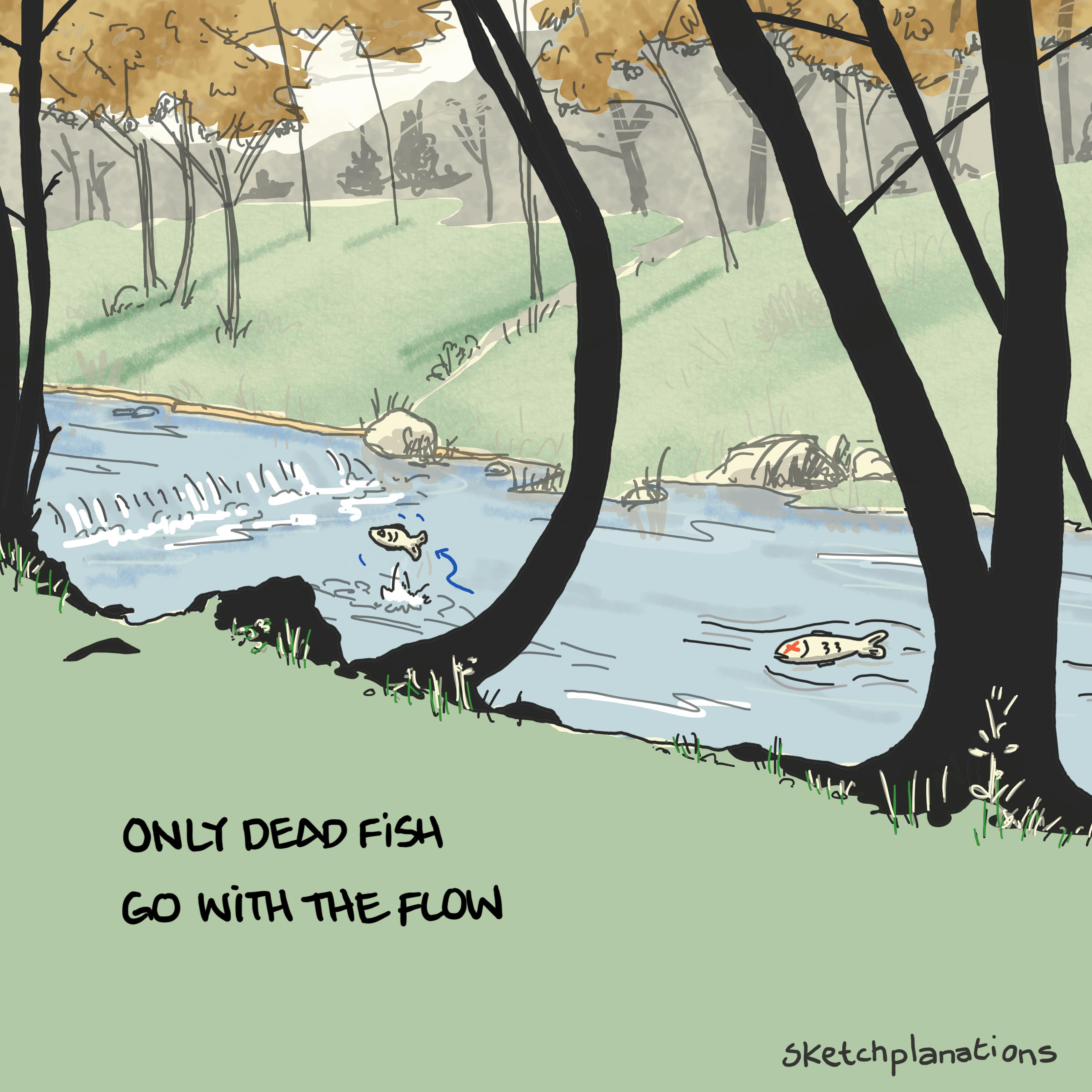 Only dead fish go with the flow quote. Two fish in a stream. One is dead and floating with the current. The other is swimming against it and jumping out of the water.