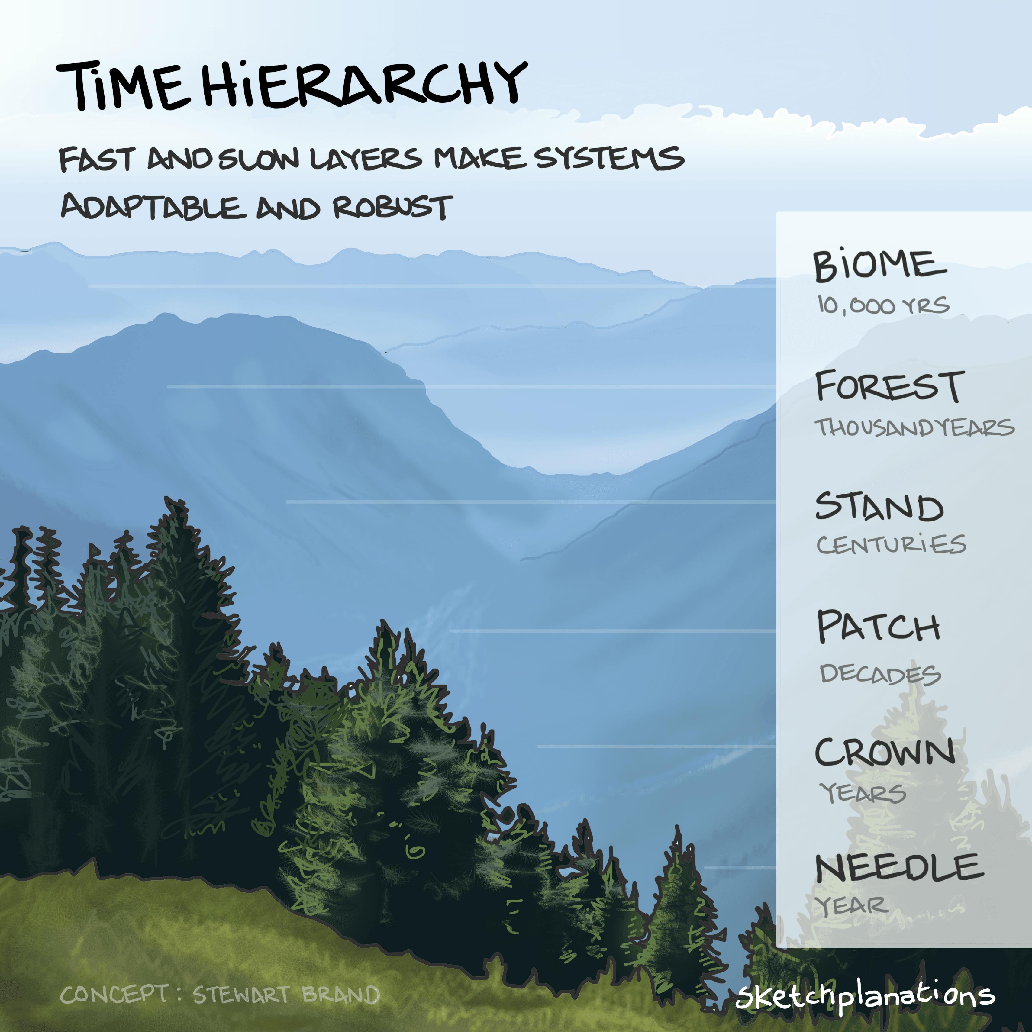 Time Hierarchy illustration: a lush, verdant, coniferous alpine forest is depicted as a means of explaining the range of layers within any durable system that develop at different speeds. From the individual needles on the trees that develop over a year, to the surrounding biome, 10,000 years in the making. 