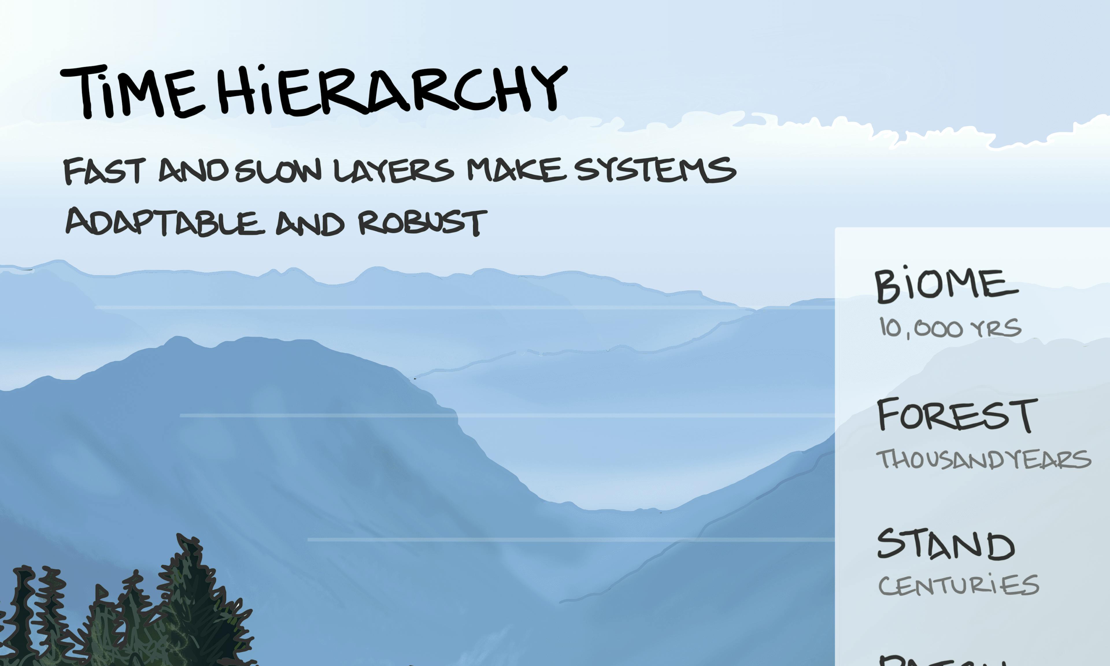 What is a time Hierarchy example explained: a lush, verdant, coniferous alpine forest is depicted as a means of explaining the range of layers within any durable system that develop at different speeds. From the individual needles on the trees that develop over a year, to the surrounding biome, 10,000 years in the making.