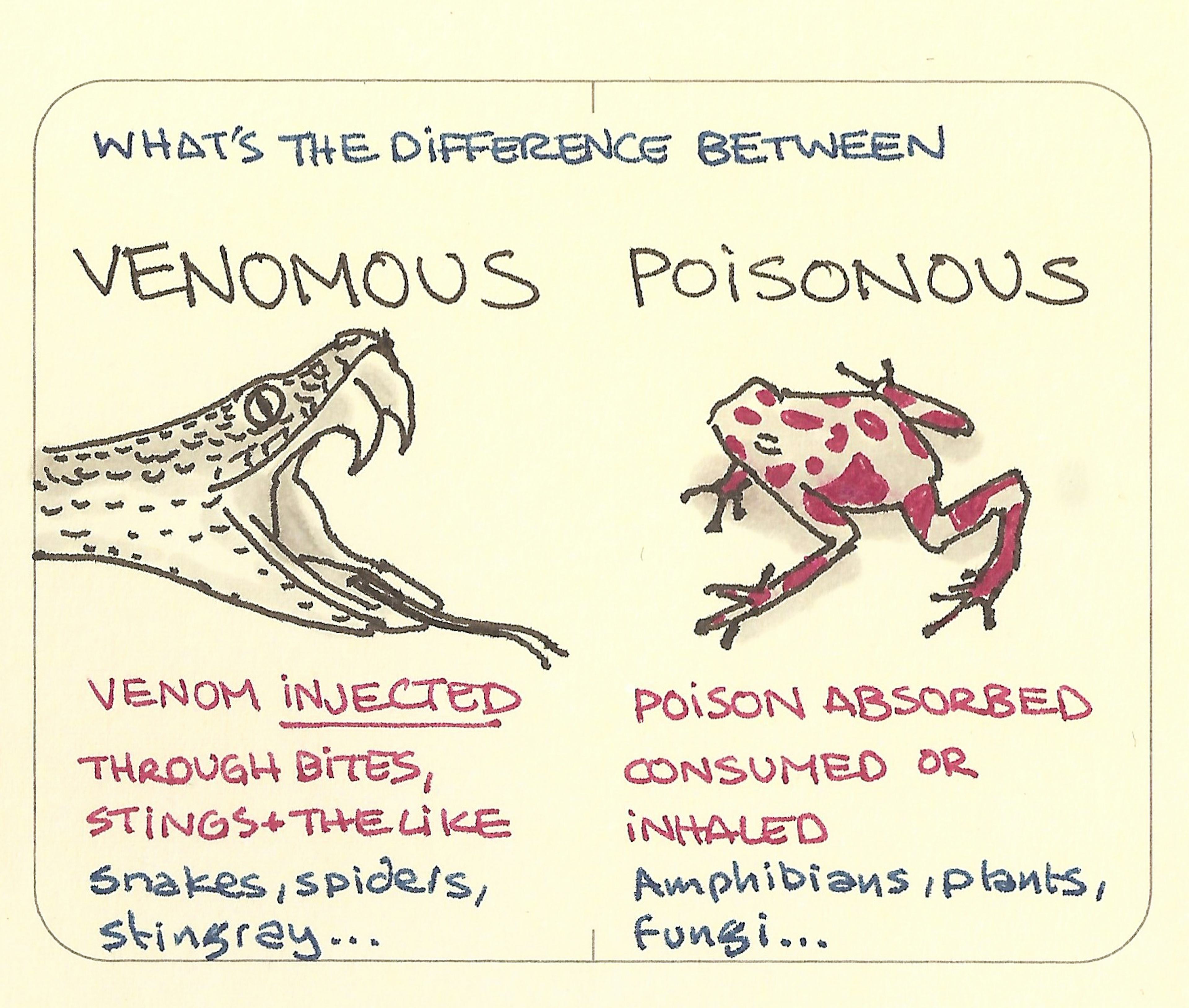 Venomous, poisonous - what’s the difference - Sketchplanations