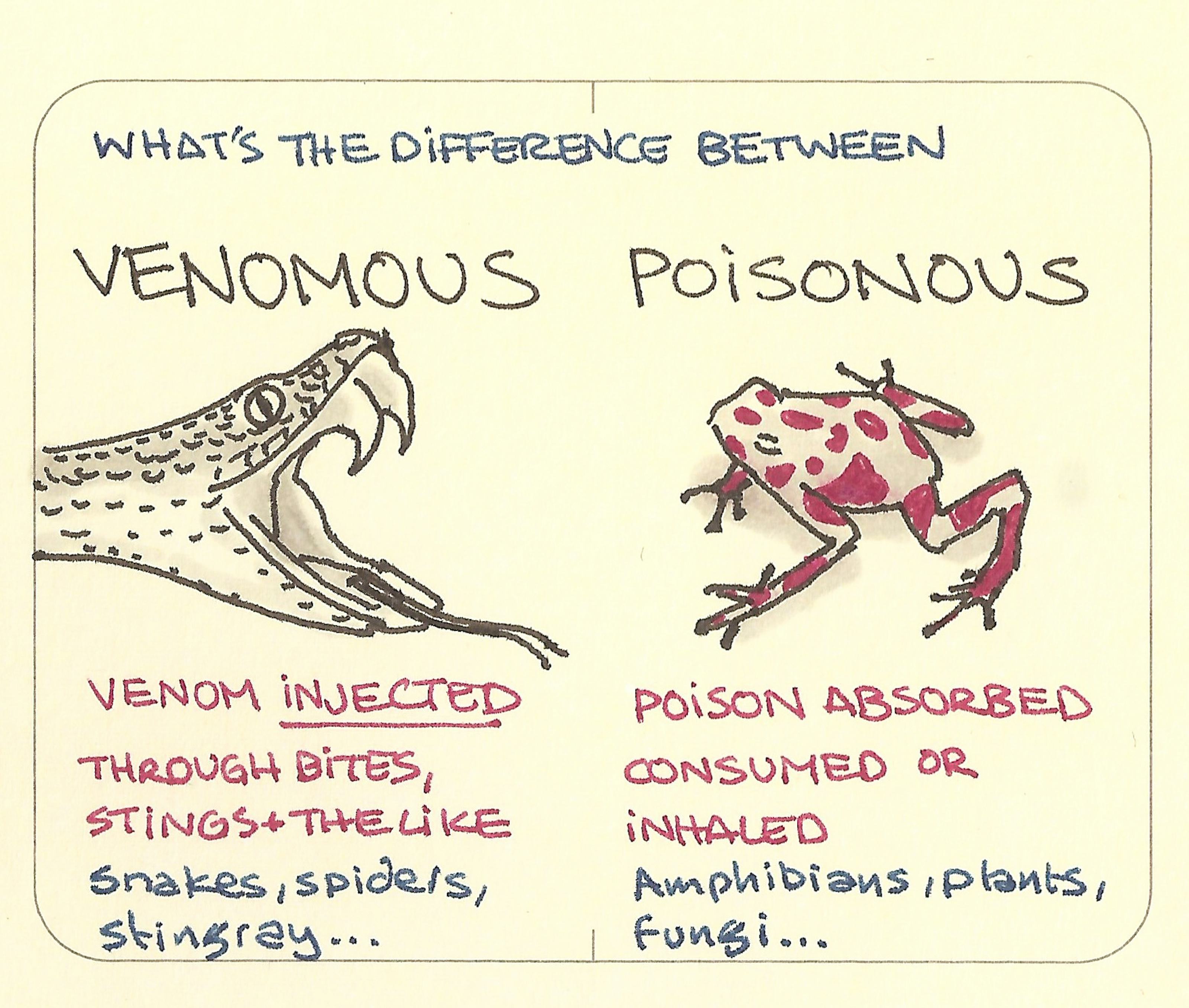 Venomous, poisonous what’s the difference Sketchplanations