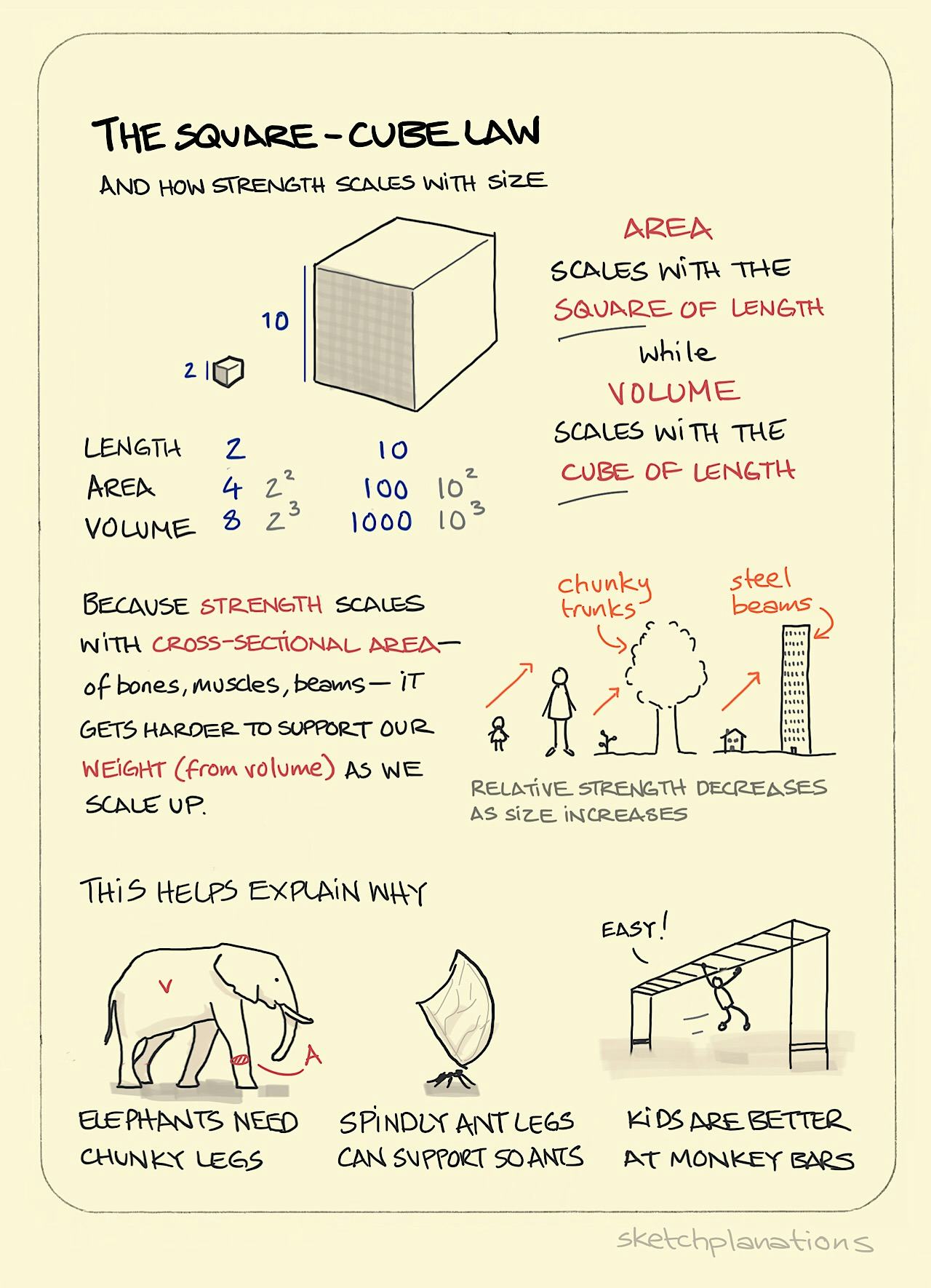 Square cube law illustration with volume increasing faster than length and an elephant, an ant carrying a giant leaf and a child on the monkey bars as examples