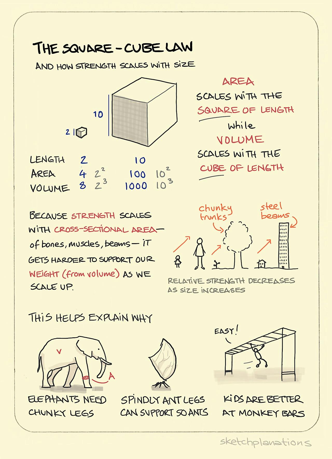 The Square Cube Law Sketchplanations