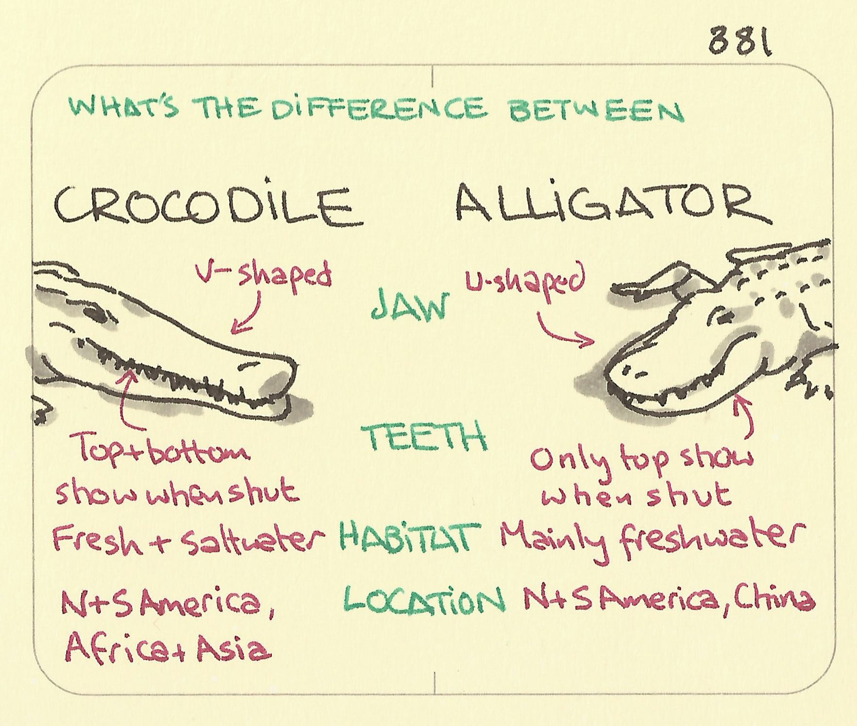 What’s the difference between a crocodile and an alligator - Sketchplanations