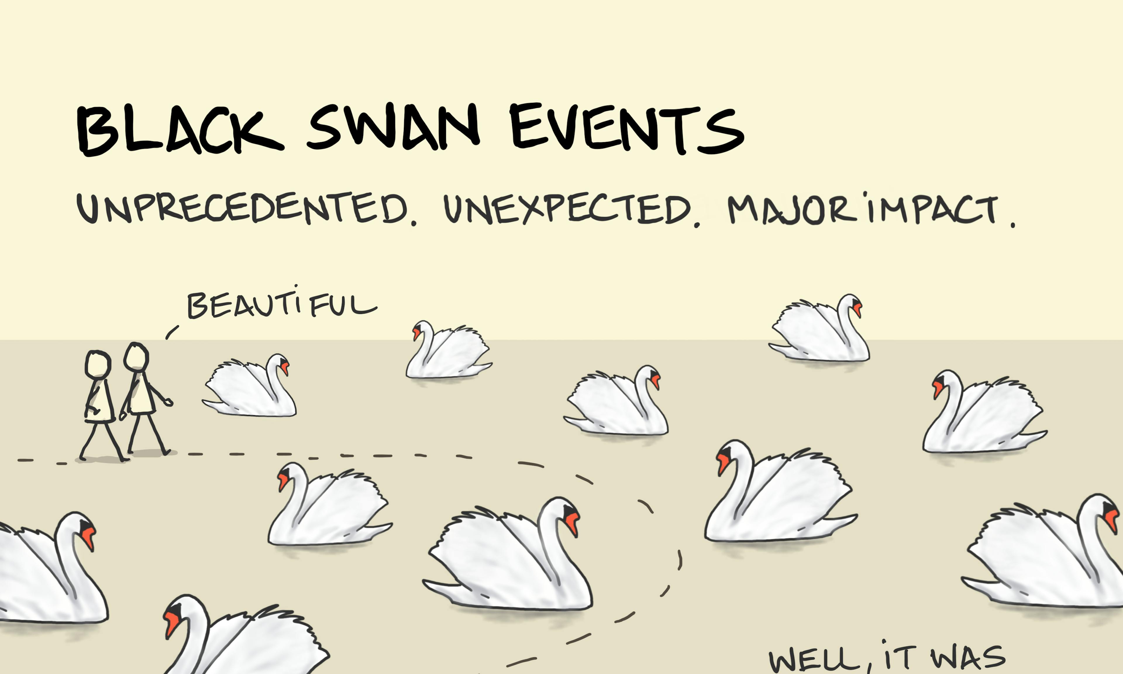 Two people walk through many white swans before bumping into a black swan. One claims it was obvious all along.